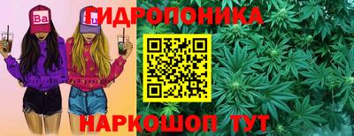 шишки Пугачёв