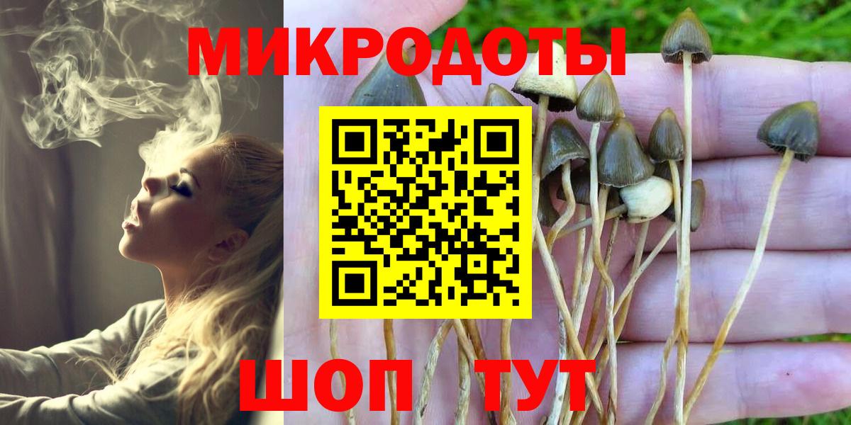 Галлюциногенные грибы мухоморы Петропавловск-Камчатский